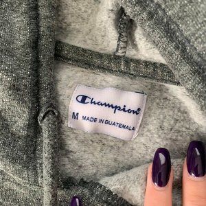 FSU College Sweatshirt.